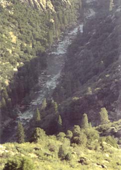 North Fork of the Kern River, in Rincon Proposed Wilderness Addition