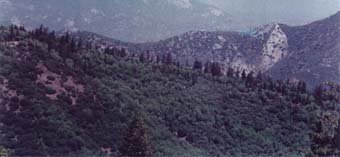 Gorge of the North Fork of Kern River, in Rincon Proposed Wilderness Addition