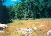 Oak Grasslands in Black Mounain Proposed Wilderness